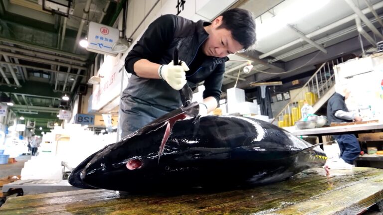 深夜０時に巨大マグロをさばく！客が殺到する衝撃コスパ寿司の裏側に密着。