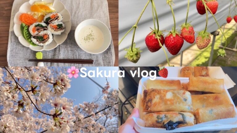 [ vlog ]雪が溶けて桜が咲くまで｜ムレスナティー｜いちご狩り｜お花見｜キンパ