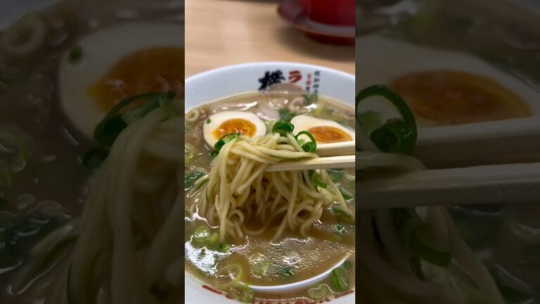 2023年2月14日に浜松上陸！京都発祥のラーメン屋さんに行ってきました！#静岡グルメ#浜松グルメ#ラーメン横綱#ラーメン屋さん#京都発祥#九条ネギ#かけ放題#チェーン店#豚骨醤油#絶品