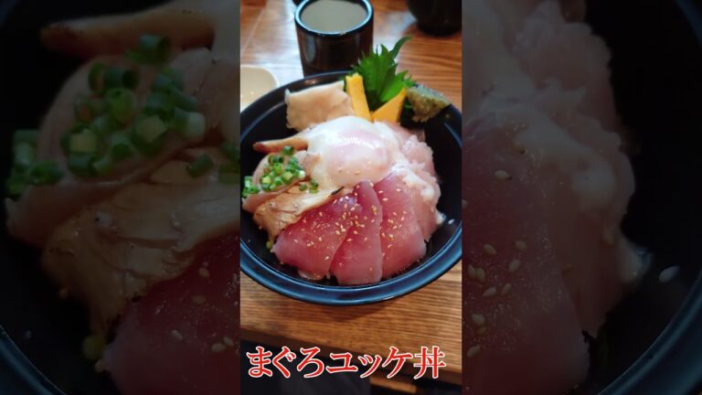 静岡市の「まぐろのみなみ」にてまぐろユッケ丼を喰らう　#shorts