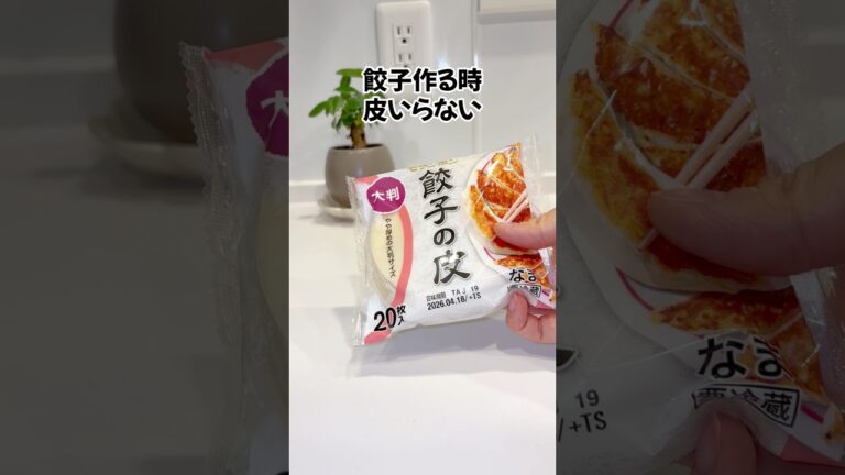 餃子作るとき皮いらない！？ #ずんだもん #簡単レシピ #プチ知識