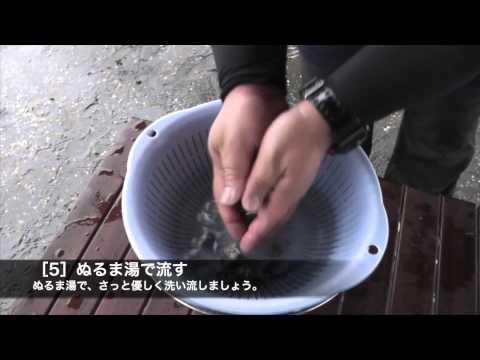 大急ぎでできる「アサリの砂抜き方法」をおしえて！