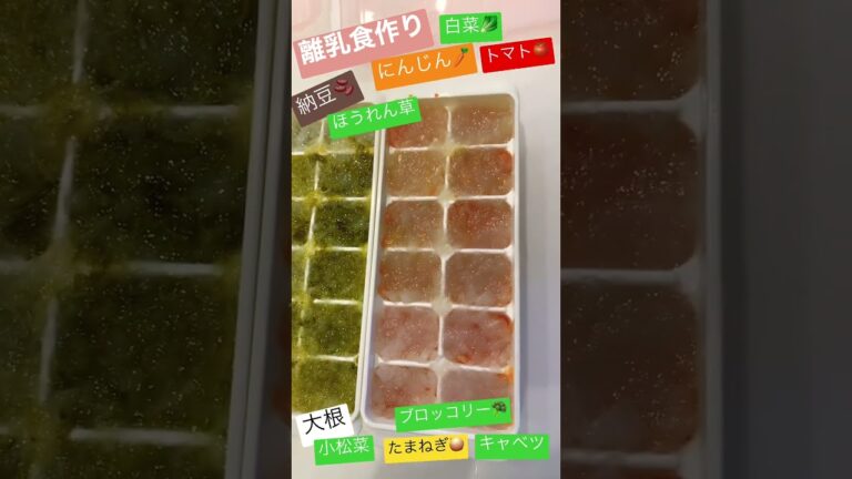 離乳食中期〜10種類の野菜詰め込みました🧑🏻‍🍳