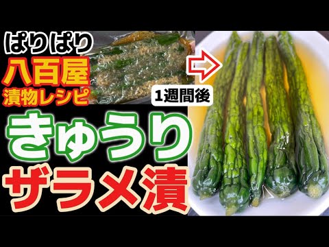 え!?ザラメで漬ける？【きゅうりザラメ漬け】八百屋が教える漬物レシピ‼パリパリ食感＆ぎゅっと濃い旨味！漬け込み1週間でクセになる美味しさ‼下処理・下漬・下ごしらえ・漬け方・食べ方アレンジ・一番人気