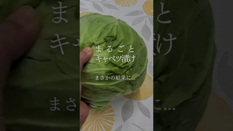 【キャベツまるごと麴漬け】大失敗！キャベツまるごと漬けの中身が…