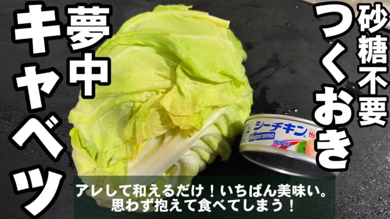 【砂糖不要】思わず抱えて食べてしまう！春キャベツとツナ缶 簡単 おつまみ  作り置き 常備菜  副菜 節約 ヘルシーレシピ 箸休め 大量消費