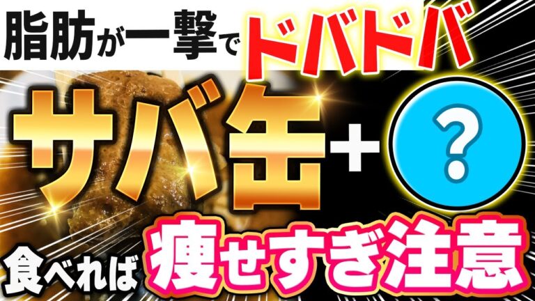 【これヤバ過ぎ😳✨】もっと痩せるサバ缶の食べ方🐟💨