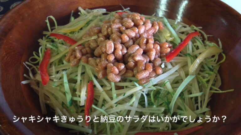 納豆 料理 簡単 きゅうりと納豆のサラダ 茨城 納豆メーカー 金砂郷食品 工場 直売 店 通販