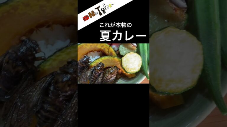 夏野菜カレーの完全上位互換#昆虫食 #料理男子 #おしゃれ料理 #夏カレー