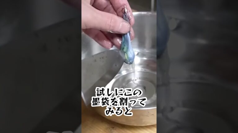 イカの墨袋を割ってみると…
