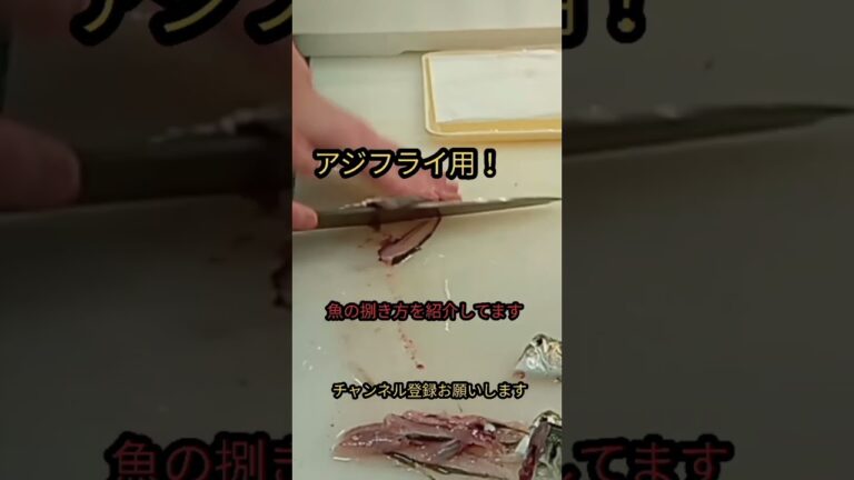 アジフライ用！#shorts #簡単 #チャレンジ #おすすめ #捌き方 #japan #fish #new #料理 #釣り #夏 #海 #魚 #静岡 #ミッション#夏休み#包丁#調理#チャンス
