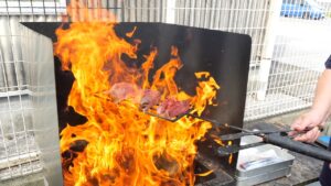 カツオにマグロ！デカ盛り海鮮定食が爆売れする海辺にポツンとドライブイン食堂