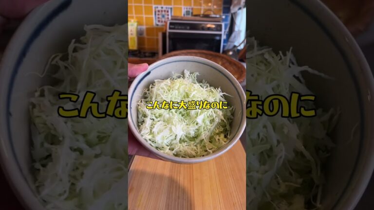 太れない牛丼🥩