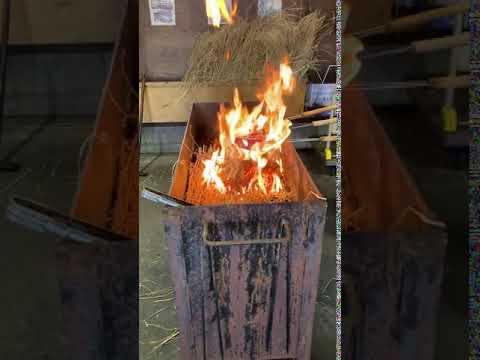 「土佐カツオ道場」カツオのたたき