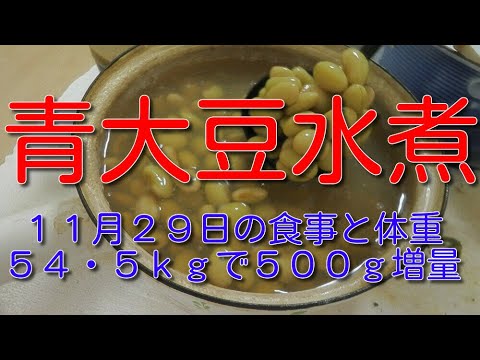 青大豆水煮：１１月２９日の食事と体重（５４・５ｋｇで５００ｇ増量）