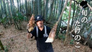 【旬を食す】採れたてタケノコ料理4品！山での収穫から絶品レシピまで