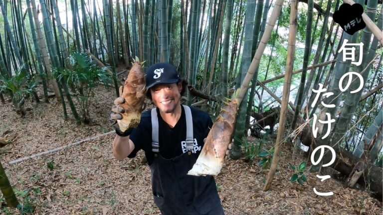 【旬を食す】採れたてタケノコ料理4品！山での収穫から絶品レシピまで