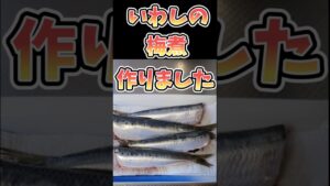 【白米泥棒】いわしの梅煮