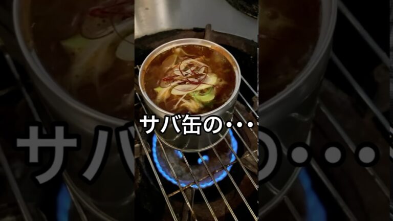 【酒のつまみ】サバ缶を簡単アレンジ！紹介下手すぎて草ww