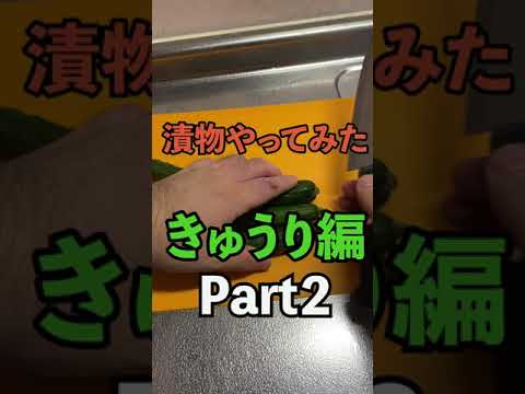 【最強の減量食】漬物王になる方法教えます #Shorts