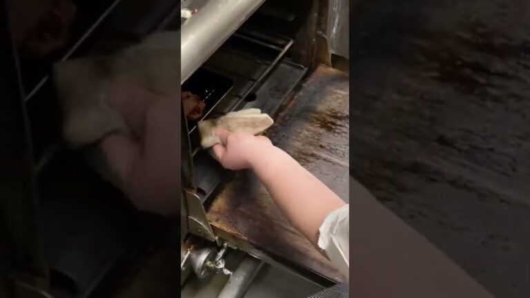 東京・有楽町駅から徒歩3分のイタリアンレストランで食べられる期間限定メニュー🇮🇹 9月末までご注文いただけます☻