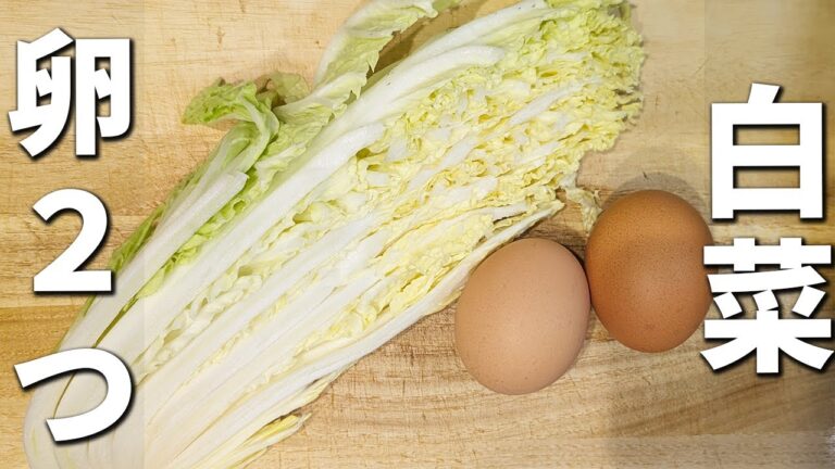 【白菜と卵のレシピ】切って炒めるだけ！簡単オイスター炒めの作り方　冷めても美味しい！作り置きにもオススメなお手軽おかず