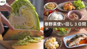 #83【３日間の夕飯献立】春野菜の爽やか晩ごはん！気分が上がる春レシピ