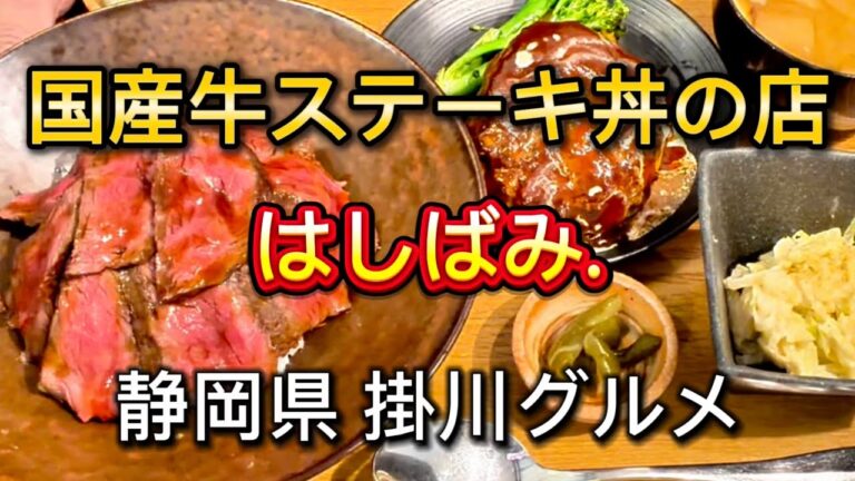 掛川市【国産牛ステーキ丼の店 はしばみ.】人気の行列店‼️