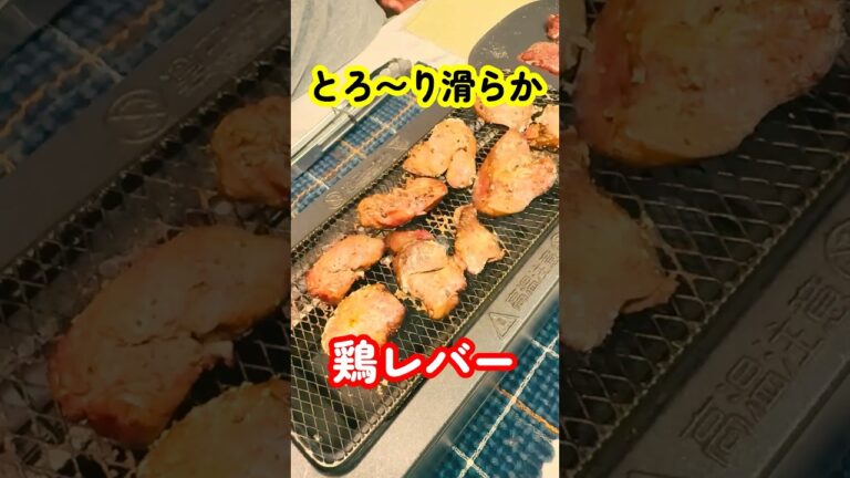 まるでフォアグラ！鶏レバーが美味すぎた！