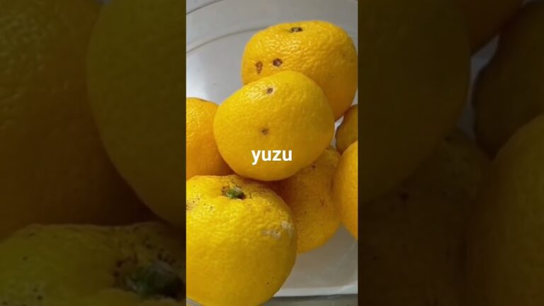 ゆずジャムの簡単レシピ/薄皮も全部使います/詳細は本編で#yuzu#ゆずジャム#柚子茶