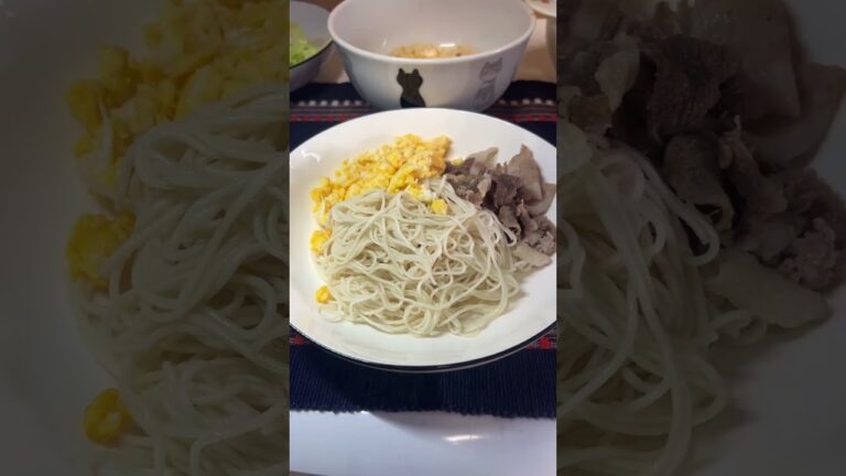 冷しゃぶそうめん中華風作ったよ。