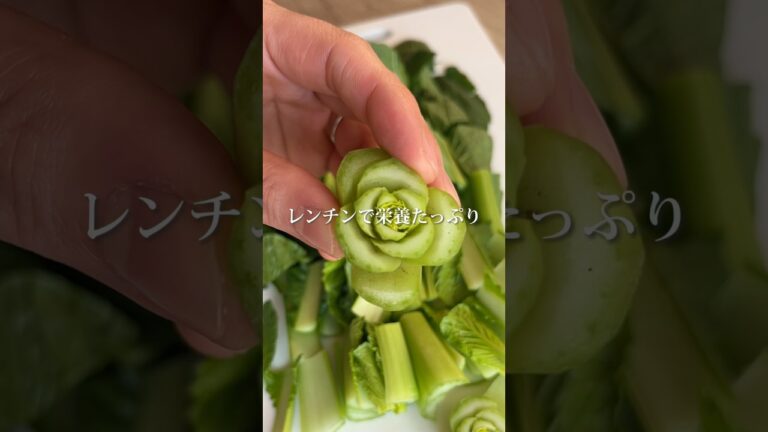 小松菜レパートリー難民さんへ🥬 #小松菜 #ひじき #作り置き #ひじきレシピ #小松菜レシピ #簡単レシピ #栄養士ごはん #おかず #おかずレシピ #副菜