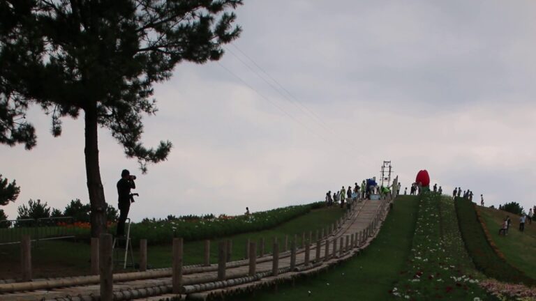 かんぷうくん、日本一長い竹のコースターに乗ることができるか確認