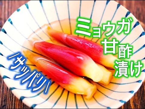 さっぱり！ミョウガの甘酢漬け〜これからの夏におすすめ〜