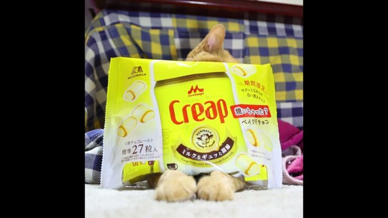 クリープ焼いちゃった風ベイクドチョコのせ麦茶　221230