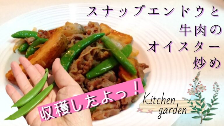 取れたて✨家庭菜園の野菜を使って料理しました！【ツナ缶の日常】スナップエンドウと牛肉のオイスター炒め♪