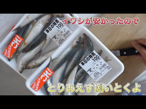 イワシが安かったので　とりあえず捌いとくよ