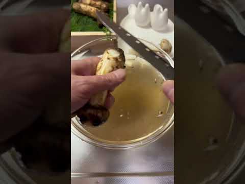 秋の風物詩「松茸」を電気工事士が下処理したら、、、#shorts #松茸 #秋の味覚#電気工事士#職人