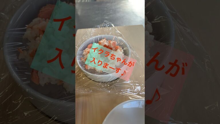 no.22 鮭とイクラの親子おにぎり【築地Vlog】#Shorts