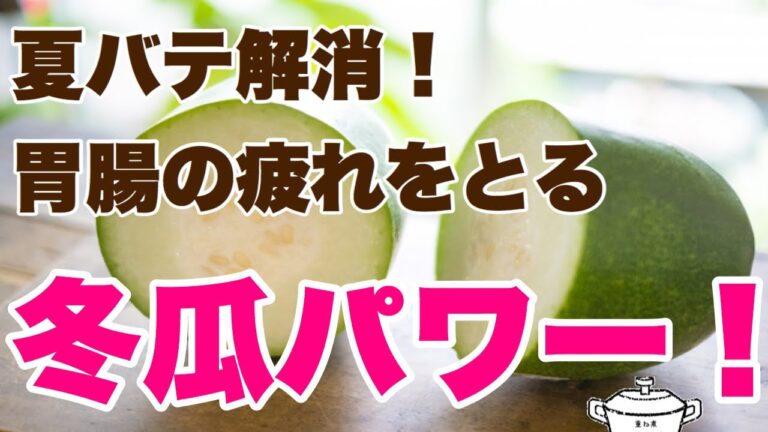 【夏バテ解消！胃腸の疲れをとる冬瓜パワー！】