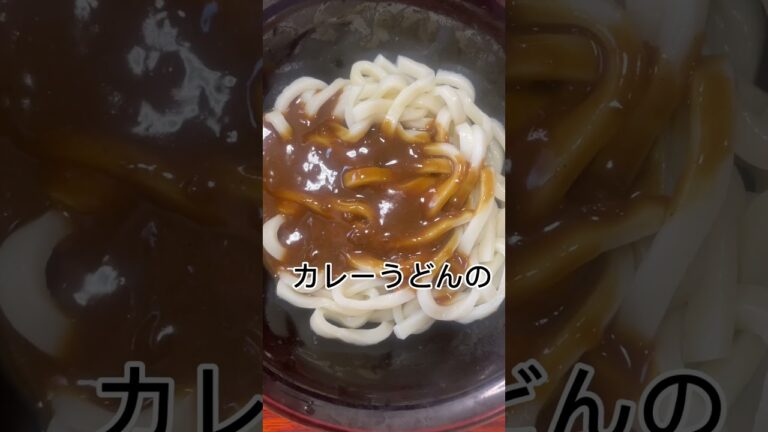 100円生活24日目の夜#shorts