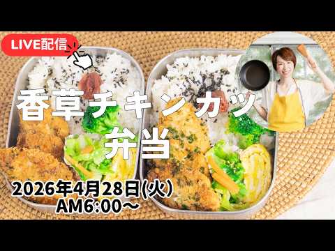 【4月28日朝ライブ】女子も喜ぶチキンカツ弁当✊Herb-roasted chicken cutlet, spring cabbage namul