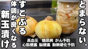 すこぶる体調が良くなる！新玉ねぎ切って漬けるだけ 簡単 健康 作り置き 常備菜 副菜 ヘルシーレシピ 高血圧 血液サラサラ 美肌 癌 糖尿病予防 大量消費