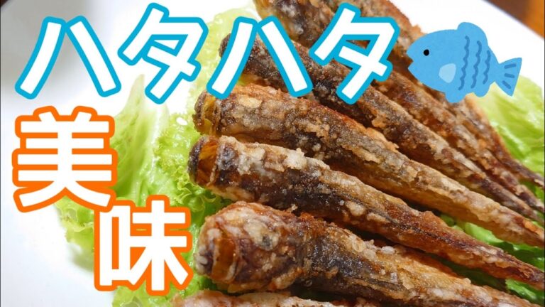 【初めてのはたはた】はたはたってどんな魚？はたはたのから揚げとナスと厚揚げの煮物を食べながら夏休みの終わりを悲しむ30代夫婦 | 料理vlog | 飯テロ