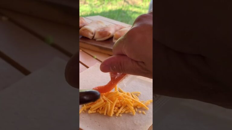 エビチリとチーズの春巻、明太子チーズの春巻。#shorts #camping #cooking