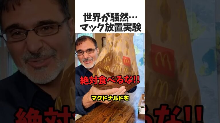 マックを20年放置した結果🍟