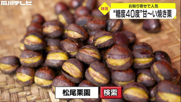 糖度40度の甘～い焼き栗 お取り寄せで人気 石川県輪島市の農園