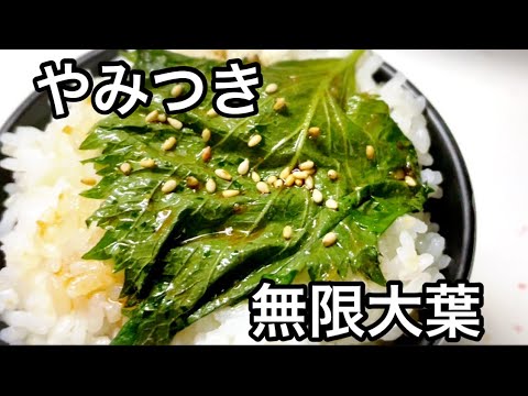 ご飯めっちゃすすむ！やみつき無限大葉漬け 作り方