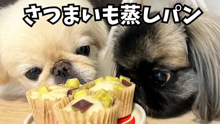 【簡単レシピ】犬用おやつ🍠米粉のさつまいも蒸しパン🐶モグモグタイムも💓