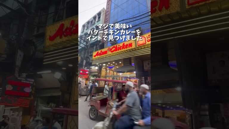 【本場インド🇮🇳】マジで美味いバターチキンカレーを見つけてしまいました…。　#世界一周